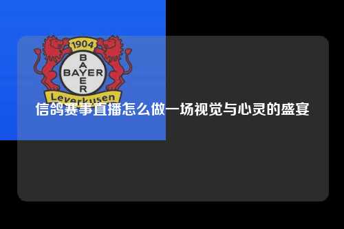 信鸽赛事直播怎么做一场视觉与心灵的盛宴