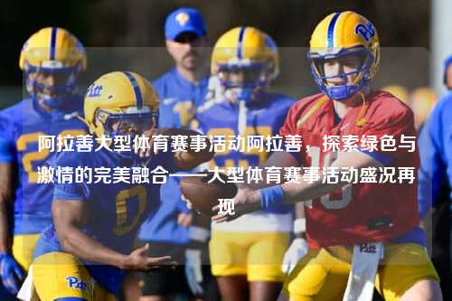 阿拉善大型体育赛事活动阿拉善，探索绿色与激情的完美融合——大型体育赛事活动盛况再现