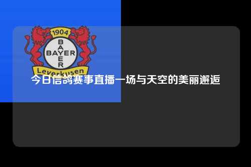 今日信鸽赛事直播一场与天空的美丽邂逅