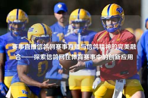 赛事直播信鸽网赛事直播与信鸽精神的完美融合——探索信鸽网在体育赛事中的创新应用