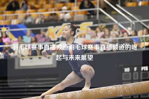 羽毛球赛事直播频道羽毛球赛事直播频道的崛起与未来展望
