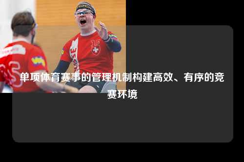 单项体育赛事的管理机制构建高效、有序的竞赛环境