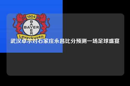 武汉卓尔对石家庄永昌比分预测一场足球盛宴