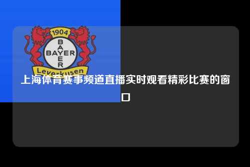 上海体育赛事频道直播实时观看精彩比赛的窗口