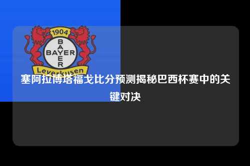 塞阿拉博塔福戈比分预测揭秘巴西杯赛中的关键对决