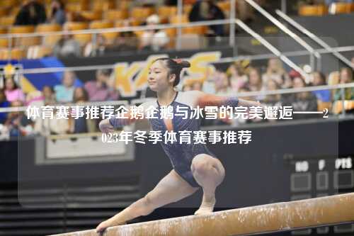 体育赛事推荐企鹅企鹅与冰雪的完美邂逅——2023年冬季体育赛事推荐