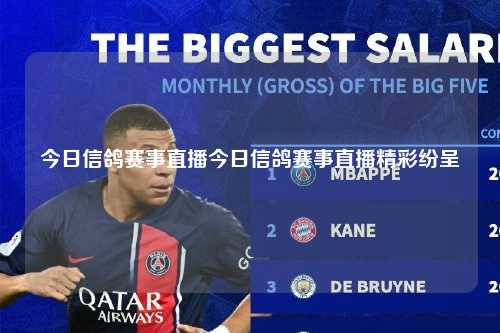 今日信鸽赛事直播今日信鸽赛事直播精彩纷呈