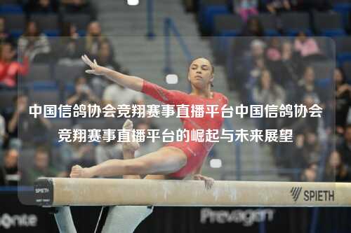 中国信鸽协会竞翔赛事直播平台中国信鸽协会竞翔赛事直播平台的崛起与未来展望