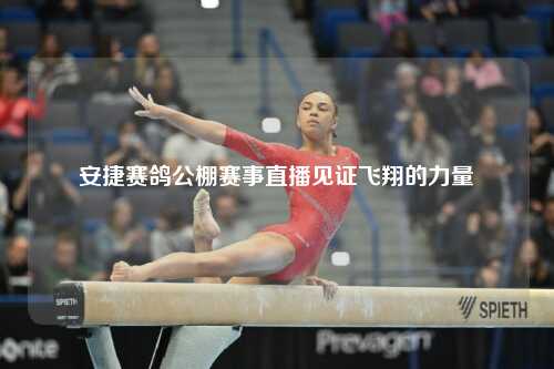 安捷赛鸽公棚赛事直播见证飞翔的力量