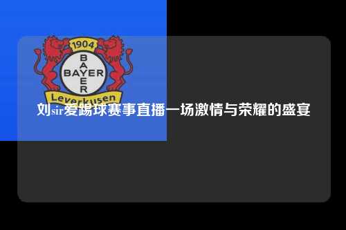刘sir爱踢球赛事直播一场激情与荣耀的盛宴