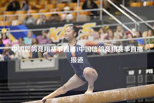 中国信鸽竞翔赛事直播1中国信鸽竞翔赛事直播报道