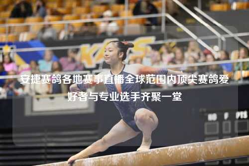 安捷赛鸽各地赛事直播全球范围内顶尖赛鸽爱好者与专业选手齐聚一堂
