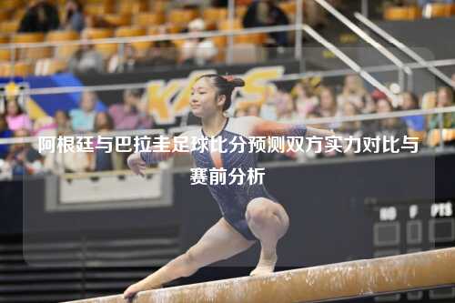 阿根廷与巴拉圭足球比分预测双方实力对比与赛前分析