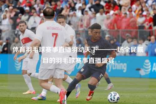 体育羽毛球赛事直播羽动天下——一场全民瞩目的羽毛球赛事直播盛宴