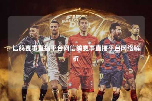 信鸽赛事直播平台网信鸽赛事直播平台网络解析
